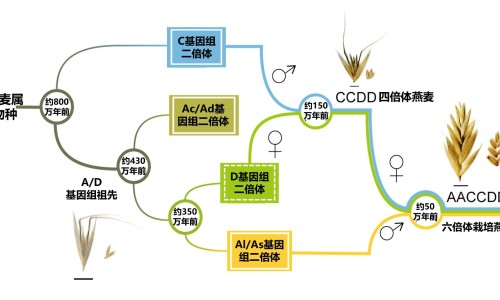 孕检甲状腺过氧化物酶偏高-孕妇甲状腺过氧化物酶抗体过高网- 孕妇甲状腺过氧化物酶抗体过高怎么办知识,分享孕妇甲状腺过氧化物酶抗体过高怎么办